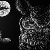 Owl Chill ...  @Padvalas Rave