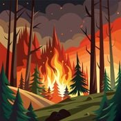 Wildfire