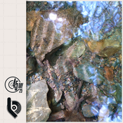 BINNE mix for 45 Day 2025