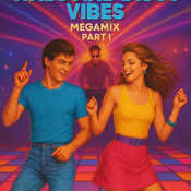 511 Vicarious Embarrassment - Italo and Disco Vibes Megamix Part I