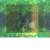 Cosmic Tree DJ Set - Wroclaw Fashion Week 25.05.2024