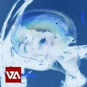 VICE VERSA CLASSICS HIP HOP & BEATS MIX 15