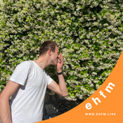 Al Fresco w/ flix - 20.05.25