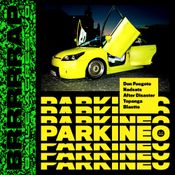 BRRRRRAP _ PARKINEO