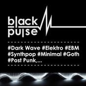 black pulse - black sheep 030525