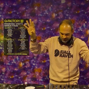ADE Random Vinyl Marathon 2025 - Feijoa