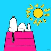 asunnymaybankholiday
