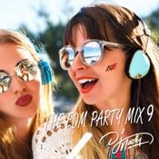 THE EDM PARTY MIX 9 - DJ NAOKI - 2000-2015 TikTok electoro dance mix!!
