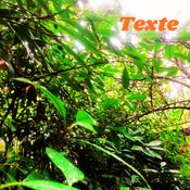 TM56_(Re(ollages_Mixtape