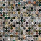 2025-11-7