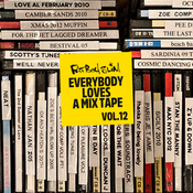 Fatboy Slim - Everybody Loves A Mixtape - Volume 12 (Best Of The Rest)
