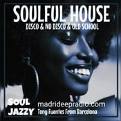 Disco & Nu Disco 07.30 (Soulful House Music) 240625