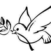 <3 Selection Train - Perilous Draws For Peace And Love <3