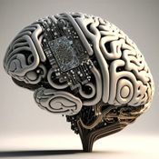 Paleolithic Emotions, Medieval Institutions, And Godlike Technology