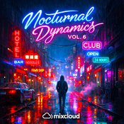 Nocturnal Dynamics Vol. 6: Neon Lights
