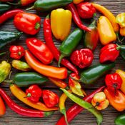 THE HOT PLATE (EXTENDED LONG PLAYER) - T.RICE DJ MIX SEPTEMBER 2025