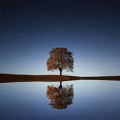 Reflection