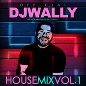HOUSE MIX VOL. 1 OFFICIALDJWALLY