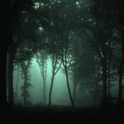 Jungle session 23-05-23
