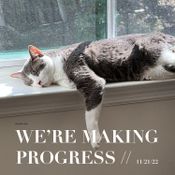 We're Making Progress // 11/21/22