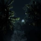 Camp Reset | The Jungle | Part 1