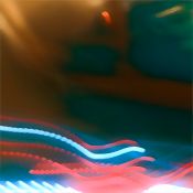 Live ambient from the Garden