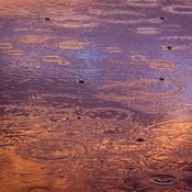 still falls the rain
