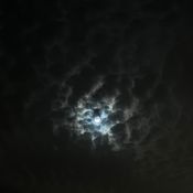 Moonesque