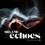 BEATCOIN Special - Organic Echoes