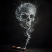 Digital Macabre: Years lost Edition |2024|