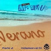 Verano 2021 (Mashup) Parte 2