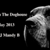 Mandy B - In The Doghouse mix (2013)