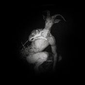 Triscillion - Horrible