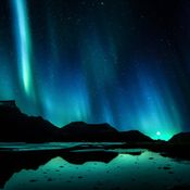 Liquid Nights (Dec 2023)