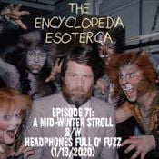 Episode 71: A Mid-Winter Stroll b/w Headphones Full o' Fuzz (1/13/2020)