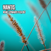 Mantis