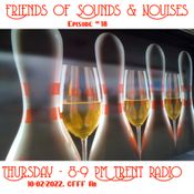 Friends of Sounds & Noises # 18