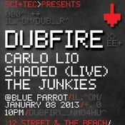 The Junkies - Live @ The BPM Festival 2013, Blue Parrot, México (08.01.2013)