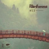 The Rainforest #53 with Colorpoint