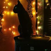 A Light in the Night (02.10.2021)