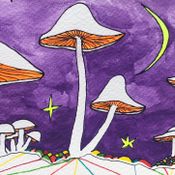 Records I Dig #11 | Prince Tribute Mix