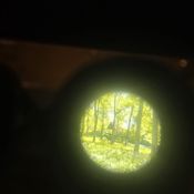 losp shambala mix enchanted woods 2025