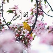 Welcome Future & House Beautiful Spring Mix 2020