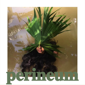 perineum 2