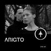STM 311 - Arigto