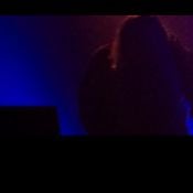 Tigerjunge / 22nd March 2025
