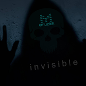 Invisible