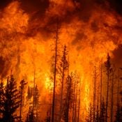 Progressive Heat 2018 Mix