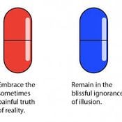 The Blue Pill