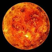 Venusia